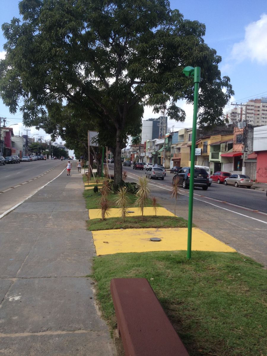 Canteiro central da Av. João Paulo II